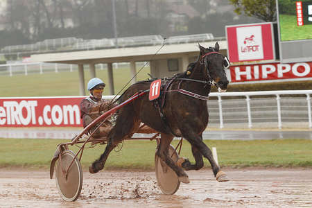 Actualités Hippiques